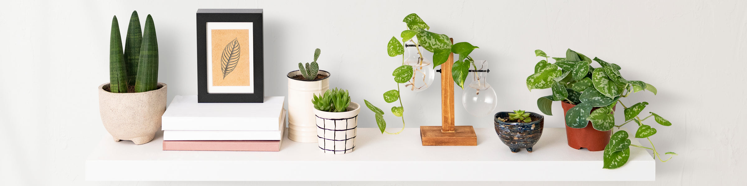 Home Decor
