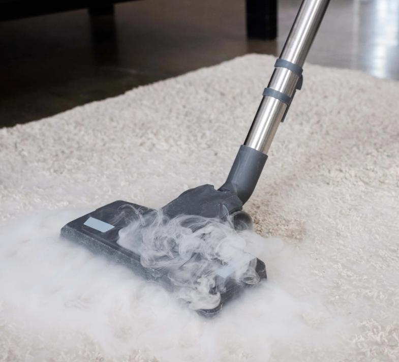 Steam Mop