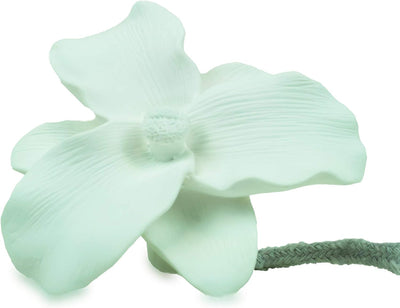 Pretty Valley Home 120 ml Fragrance Diffuser with Lily Gypsum Flower, Silk Blossom