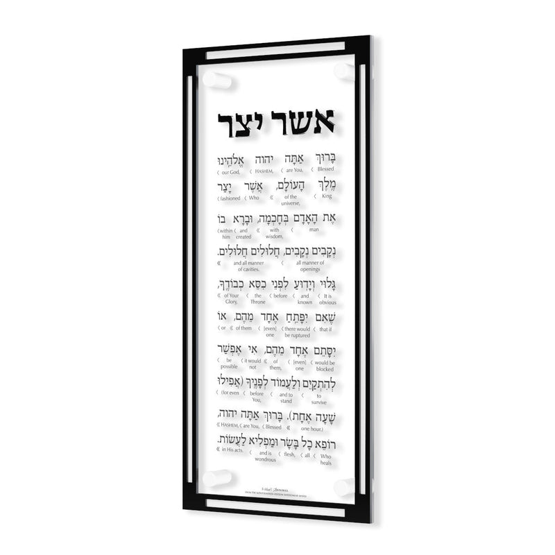 Classic Asher Yatzar -Artscroll Schottenstein Interlinear