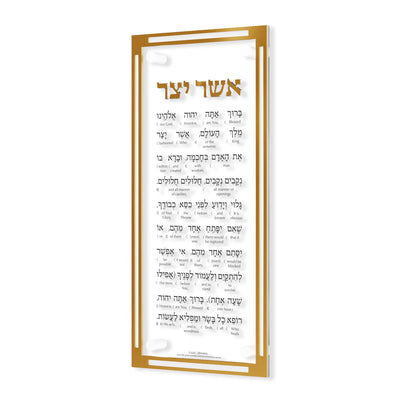 Classic Asher Yatzar -Artscroll Schottenstein Interlinear