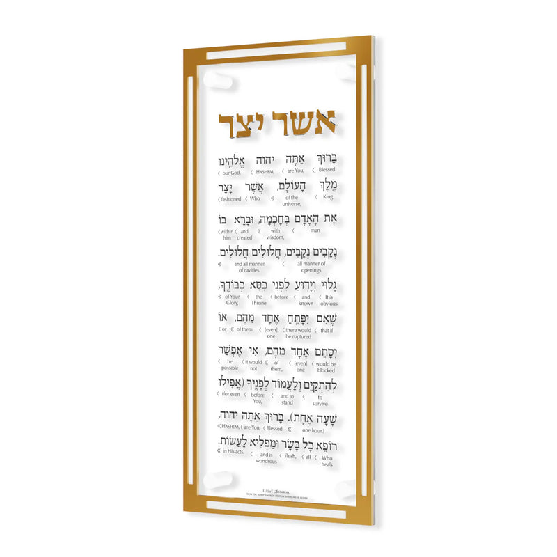 Classic Asher Yatzar -Artscroll Schottenstein Interlinear