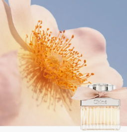 Eau de Parfum Spray Chloé