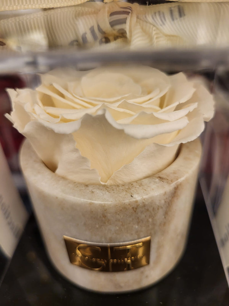 Single real preserved rose in marble holder