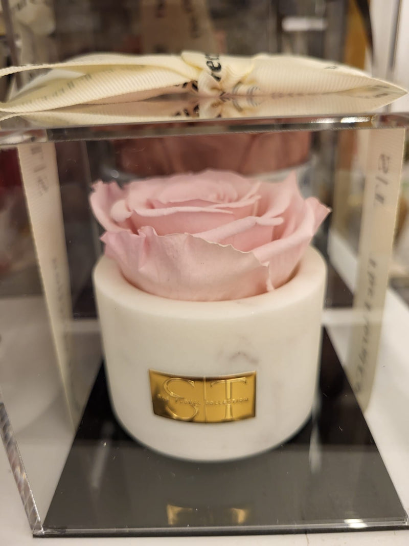 Single real preserved rose in marble holder