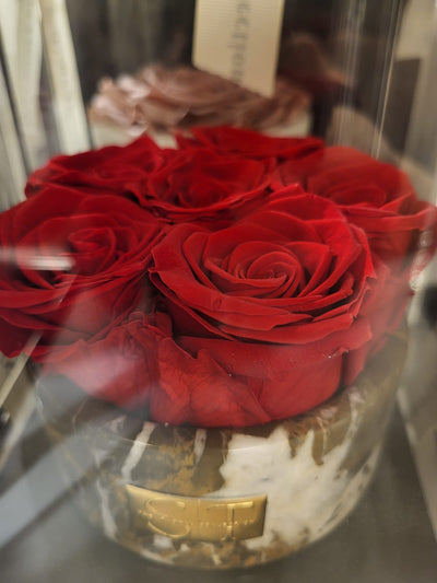 Red preserved real roses in marble round holder