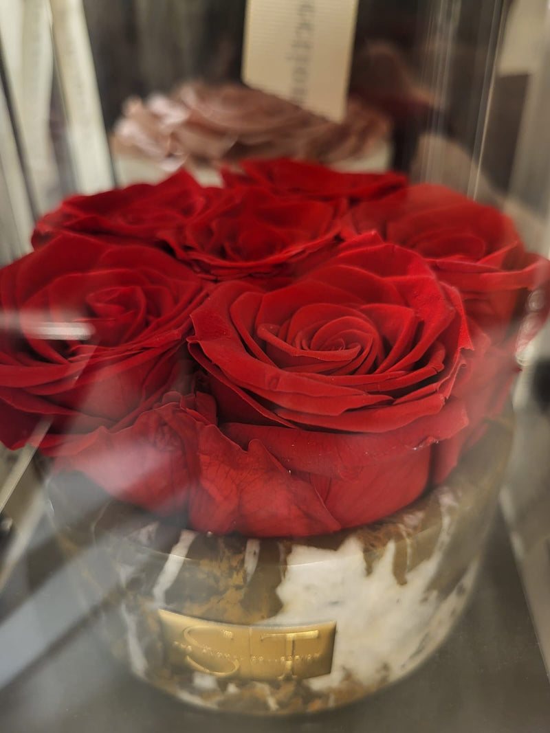 Red preserved real roses in marble round holder