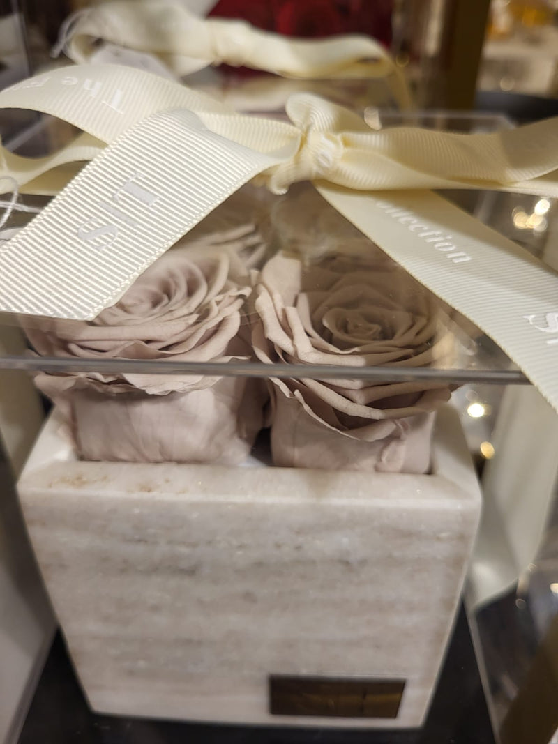 Four real preserved roses in square marble box